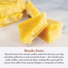 Candle by the Hour 48-Hour Candle Refill, Eco-friendly Natural Beeswax