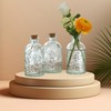 Gyaxiang 2Pcs Clear Glass Reed Diffuser Bottles with Cork Lid,Apothecary