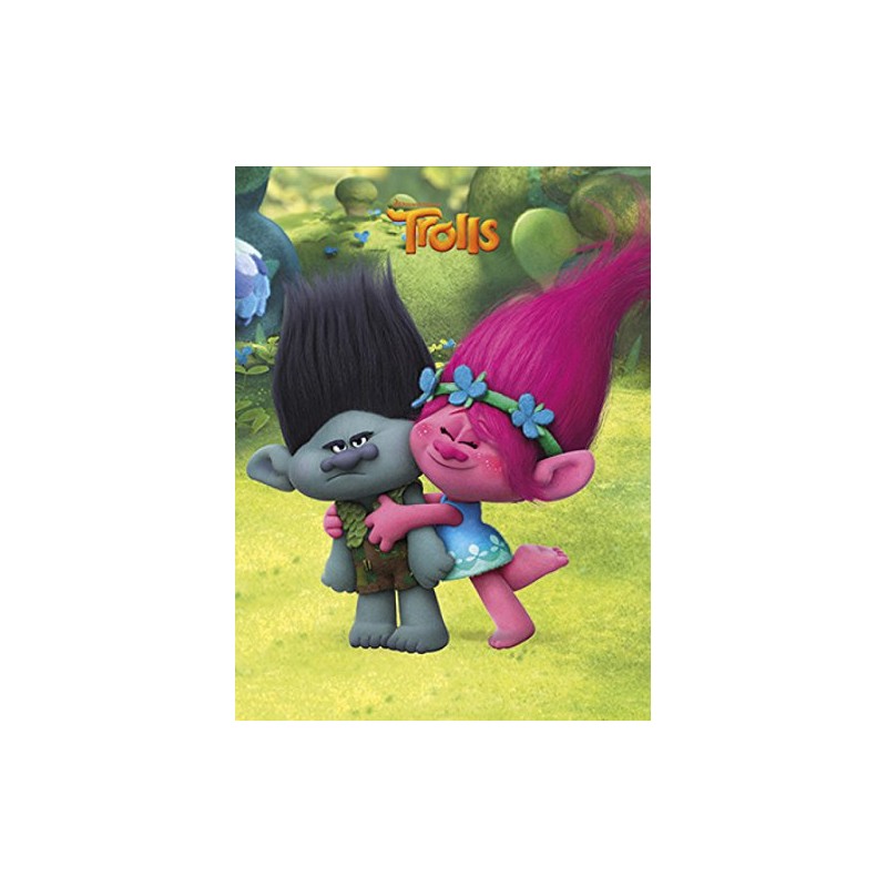 'The Trolls Hamelin – 1 Homework Book illustrated – 17