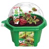 Toys By Nature Character Micro Domes Fred The Ferocious Flytrap