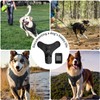 Dog Harness Camera, 1080P Camera with 1.54” Video Playback Function