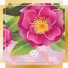 Hanaeimi Hand Cream November Yamachahana