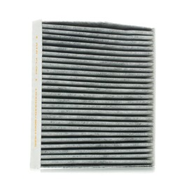 RIDEX Cabin Air Filter 424I0135 Fullback Pickup (502, 503) 216 mm 200 mm 30 mm