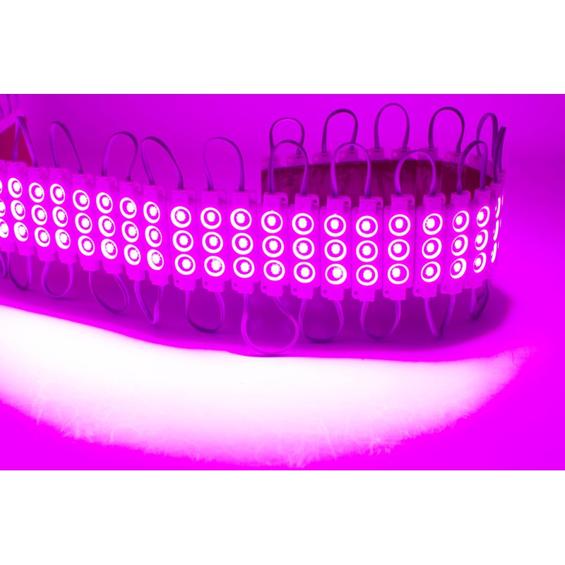 LEDUPDATES BRIGHTEST STORE FRONT WINDOW LED LIGHT Pink color 20ft