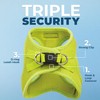 Voyager Step-in Air All Weather Mesh Harness and Reflective Dog