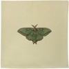 Azeeda 40cm x 40cm 'Luna Moth' Canvas Cushion Cover (CV00040409)