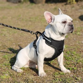 Unbranded No Pull Dog Pet Harness Adjustable Control Vest Dogs Reflective No Choke 2024