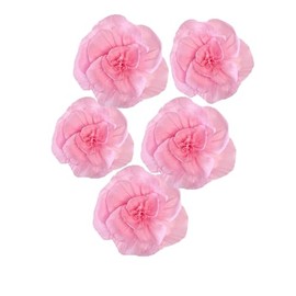 Meeom 5pcs 8in 12in Pink Crepe Paper Flowers Paper Flower Decoration Handcrafted Flowers Party Wedding Backdrop flower for Baby Showers Birthday Photo Backdrop Bridal Shower Centerpiece