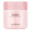 Ponds Gel Hidratante Facial Fruity Hydra Fresh Sanda 110 G