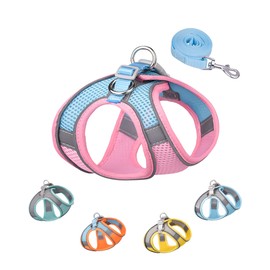 Solmoony Dog Harness for Small Medium Dogs,Easy to Put on Soft Mesh Dog Harness and Leash Set for Kitten and Puppy，Step in Adjustable Dog Harness with Padded Vest (XXS, Pink)