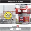 Zinsser 5001-2PK WaterTite Professional Waterproofing Paint, Gallon, White, 2 Pack