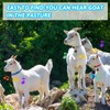 12 Sets Goat Collars with Bells Horse Sheep Grazing Cow