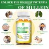 (2 Pack) 9 in 1 Mullein Gummies for Lung Cleanse