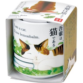 Seishin Pottery GD-102802 Year-Round Home Garden Cultivation Kit, Lemon Balm, Mini, Easy, Loose Growing, Herbs, Herbs, Cultivation Set, Mother's Day, Birthday, Gift, Pot Diameter Approx. 1.6 inches (4