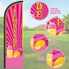 Remagr 2 Pcs Lemonade Sign Feather Flag for Business 12