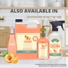 Fruits & Passion [Cucina] Peach and Mandarin Kitchen Mist Fragrance,