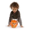 Juguete Para Gatear Tinkers Crawl Along Song Baby Einstein