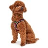 Hunter Hilo Comfort Harness for Small Dogs with Mesh Material