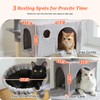 UYMI 64-Inch Large Cat Tree for Indoor Cats, Multi-Level Tall