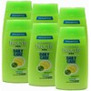 Garnier Champú Fructis Daily Care 1.7 oz (Paquete de 6)