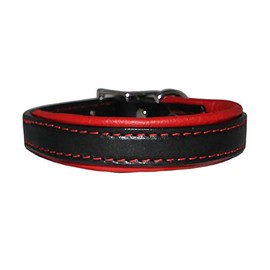 Padded Leather Collar of Size 1 x 26 inches, Classic Flat Style with a Heavy-Duty Stainless-Steel Buckle in Black Tan, Strikingly Elegant Choice for Medium and Large Dogs, Made in The USA