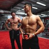 SWOLY Creatine Monohydrate Gummies