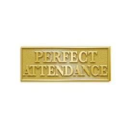 Perfect Attendance Pins - 1" Chenille Attendance Lapel Pin with Butterfly Clasp, Great for Attendance Awards 20 Pack