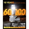 OXILAM Bulbs, 9005 H-B-3 Fog Light Bulbs Powersports Bulbs or