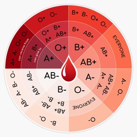 MAGNET Blood Type Wheel - Compatibility Chart Magnetic Vinyl Sticker Decal Magnet 5"