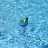 JED Pool Tools 10-458 Gator Chlorinator for Swimming Pool