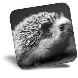 Destination Vinyl ltd Fridge Magnet bw - Hedgehog Garden Wildlife British #40930