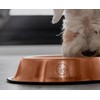 Copper Pet Water Bowl for Dogs or Cats I Non-Skid