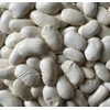 Greek Gigante Bean Fasolia Gigantes Plaki Heirloom Seeds for Planting