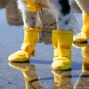 Canada Pooch Waterproof Boots - Dog Boots & Paw Protectors