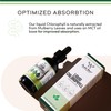 Chlorophyll Liquid Drops - for Digestion, Gut Health, Energy and