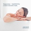 Ancient Minerals Ancient Minerals Magnesium Bath Flakes Ultra with OptiMSM