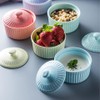 Ciieeo Ceramic Pudding Bowl with Lid Heat Resistant Baking Bowl