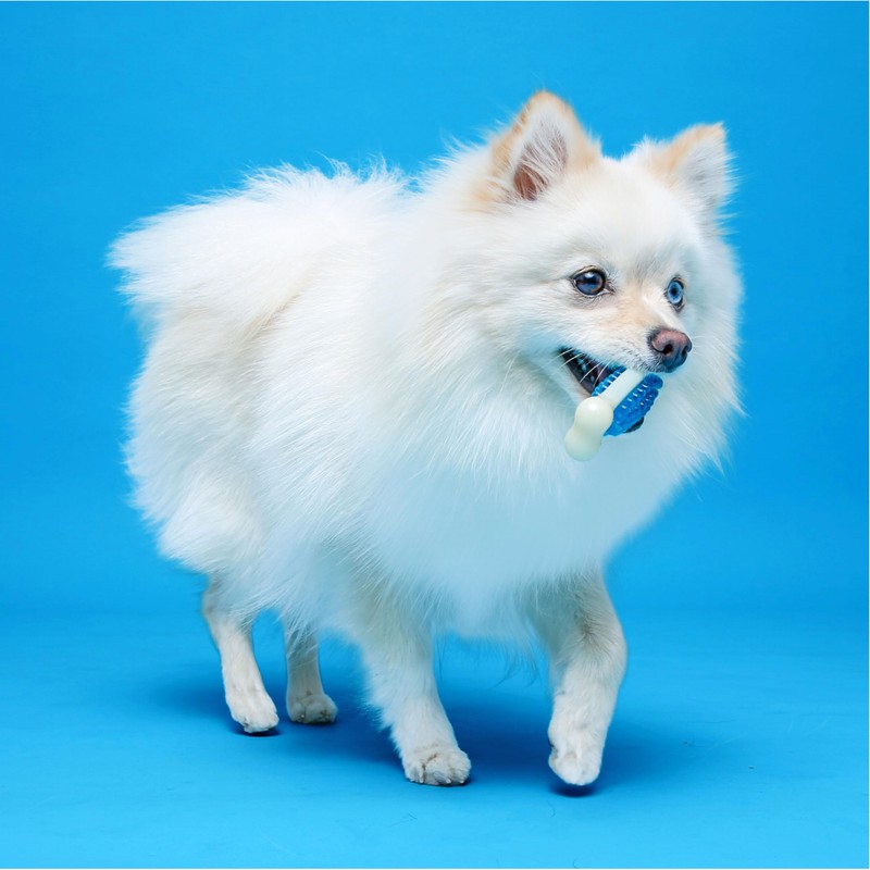 Hartz Chew 'n Clean Tuff Bone Tough Dog Chew Toy,