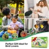 Clear Window Bird Feeder with 4 Strong Suction Cups, Removable