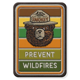 Desperate Enterprises Smokey Prevent Wild Fires Refrigerator Magnet - Funny Fridge Magnets for Work, Home & School - Made in The USA