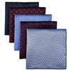 Shlax & Wing 5 Pcs Men's Pocket Square Set Business