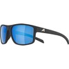 ALPINA Unisex Nacan I P Sunglasses, black matte, Unit size