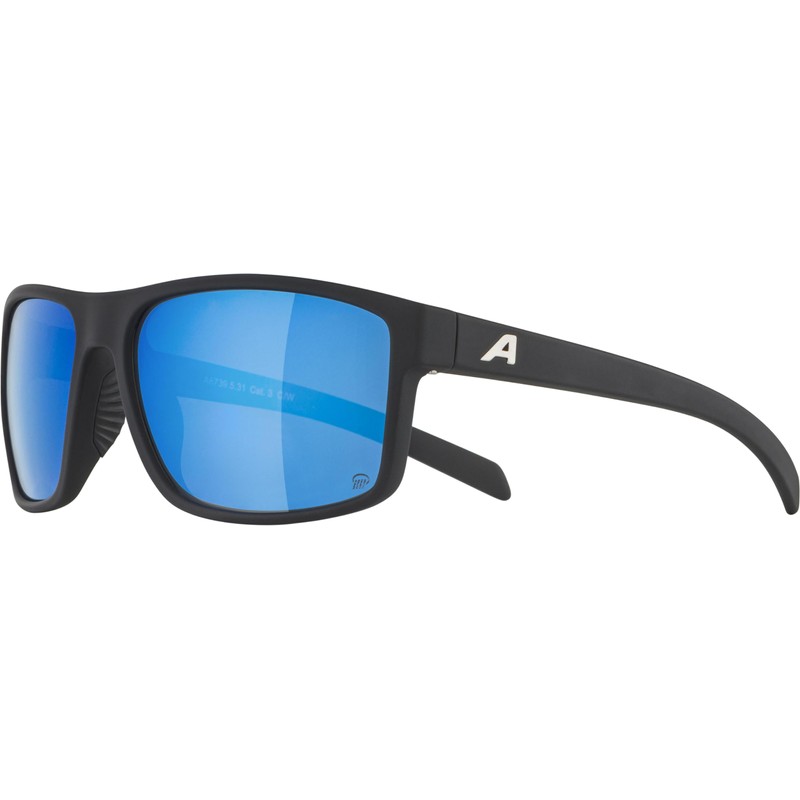 ALPINA Unisex Nacan I P Sunglasses, black matte, Unit size