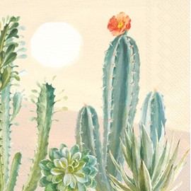 IHR Ideal Home Range Cocktail Napkins Disposable 3-Ply Paper Party Napkin Pack, 5" x 5", Desert Greenhouse, 20-Count