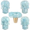 Amogeeli 4Pcs Skull Crystal Resin Brass Knobs with Screws, Decorative