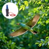Decoy Whistle, Duck Call Whistle Duck Hunting Call, Outdoor Whistle