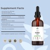 Herbity Herbity Burdock Root Tincture C Alcohol-Free Herbal Extract for