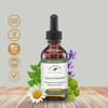 Native Remedies Focus Formula