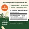 Vegan Omega 3 Algae Oil | Plant Based DHA EPA