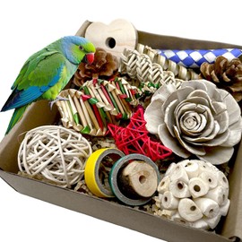 ExcyphrXyf Bird Toys Parrot Toys Natural Bird Foraging Box Foot for Parakeets,Cockatiels,Conures,Love Birds,and Other Small to Medium Birds (Medium)